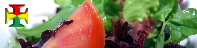 Receitas, Molhos, Saladas e acompanhamentos